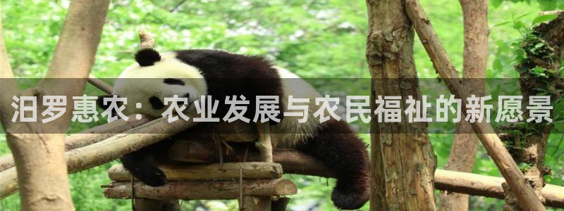 金年会官网地址