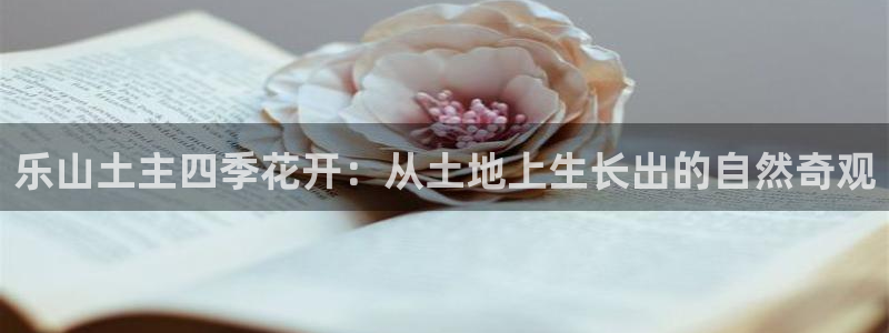 金年会软件在线下载