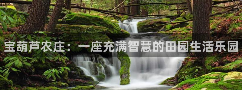 金年会能提款吗