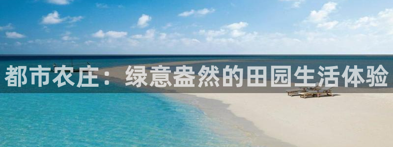 金年会体育官方网站入口