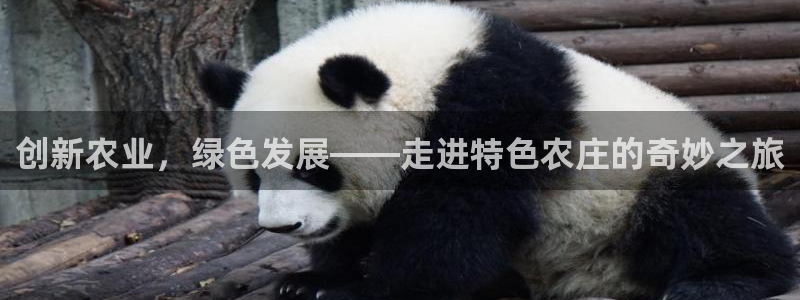 金年会中国金年会登录