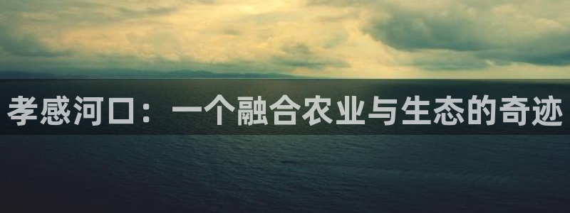 金年会是正规的吗