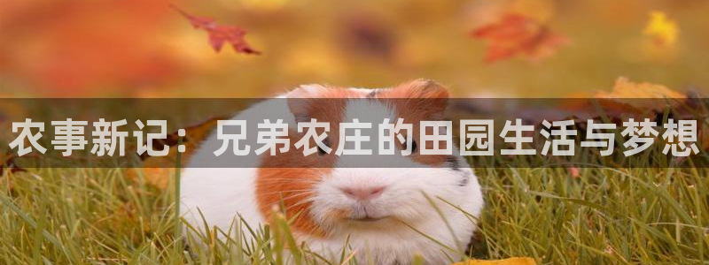 金年会首页登录