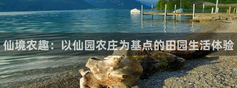 金年会体育下载