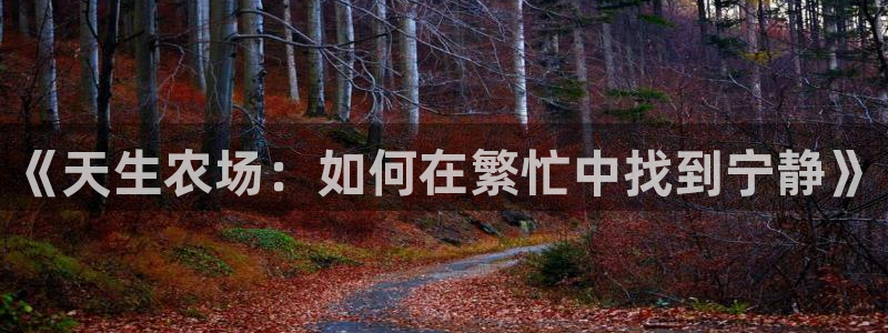 澳门金年会棋牌