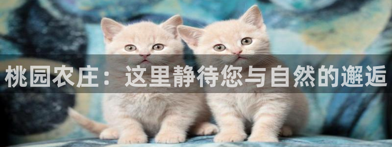 金年会金字招牌诚信至上