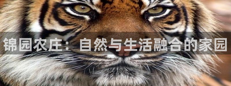 金年会体育官方下载