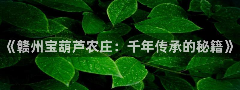 金年会官网登入