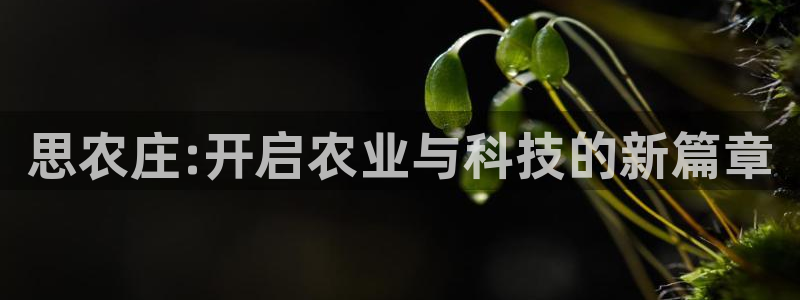 金年会官方客服电话