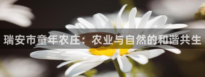 金年会彩金