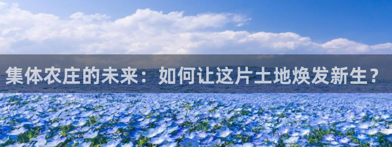 金年会活动策划