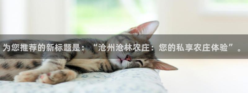 金年会全站