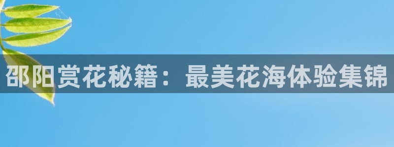金年会官方网站入口