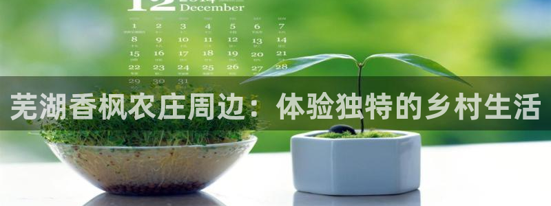 金年会彩票软件