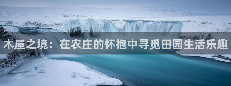 金科年会图片