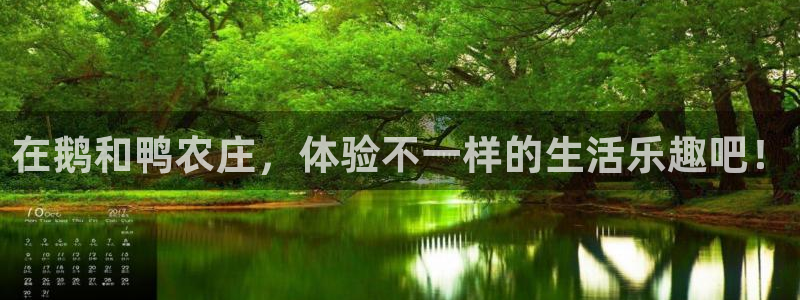 金年会开户