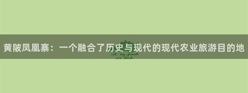 金年会黑网