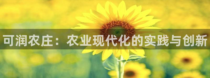 金年会电子游戏