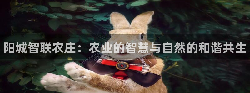 2022年金科年会