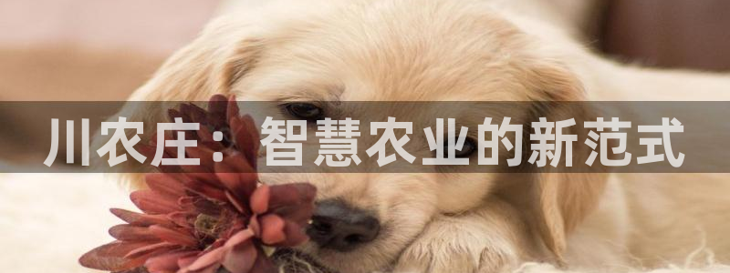 金年会体育苹果下载