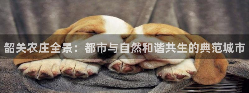 金年会官方网址登录路线