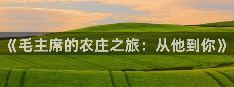 金年会活动策划